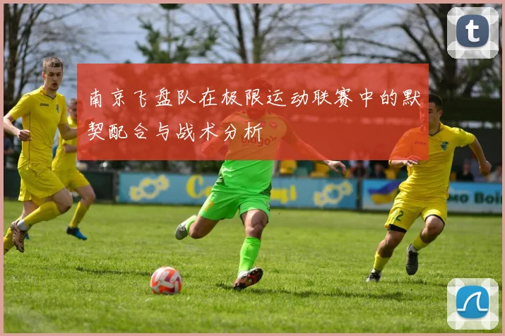 南京飞盘队在极限运动联赛中的默契配合与战术分析