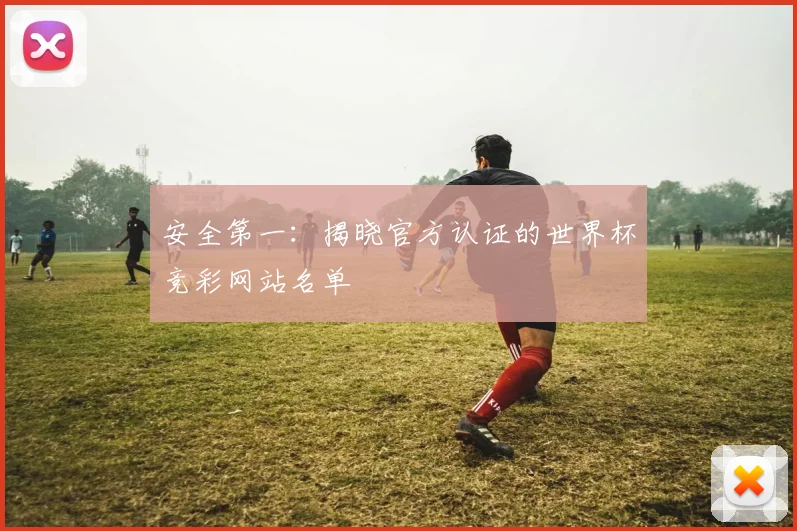 安全第一：揭晓官方认证的世界杯竞彩网站名单